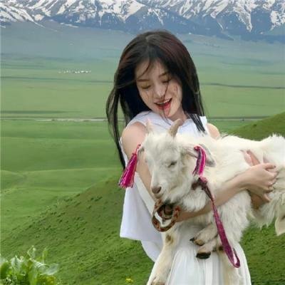 机械小子之勇斗机动战士
